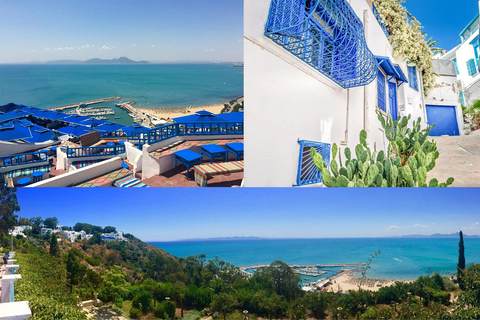 From Hammamet: Day Trip to the Medina of Tunis, Carthage, and Sidi Bou Said