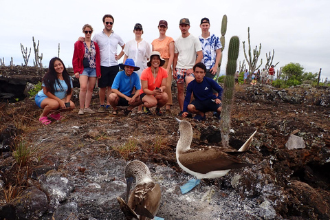 Galapagos Intensive 5 days, land base (3 Islands)