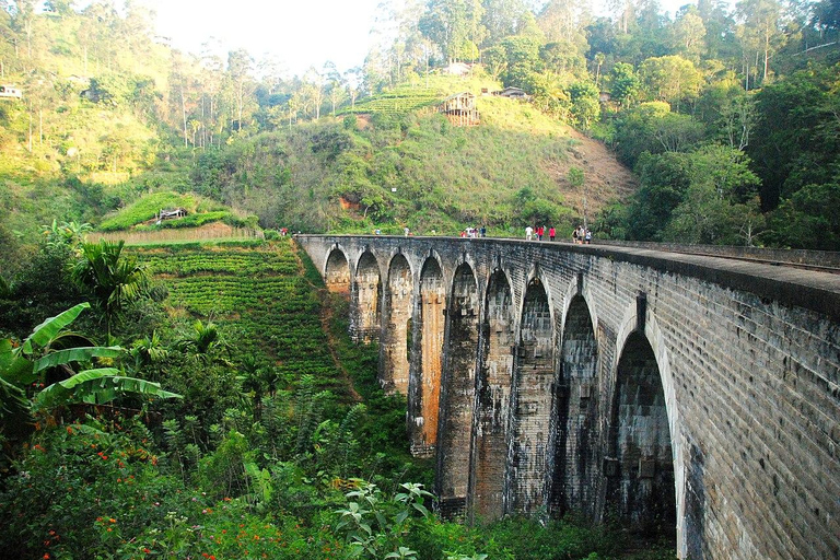 From Galle/Hikkaduwa/Mirissa Day trip to Experience Ella