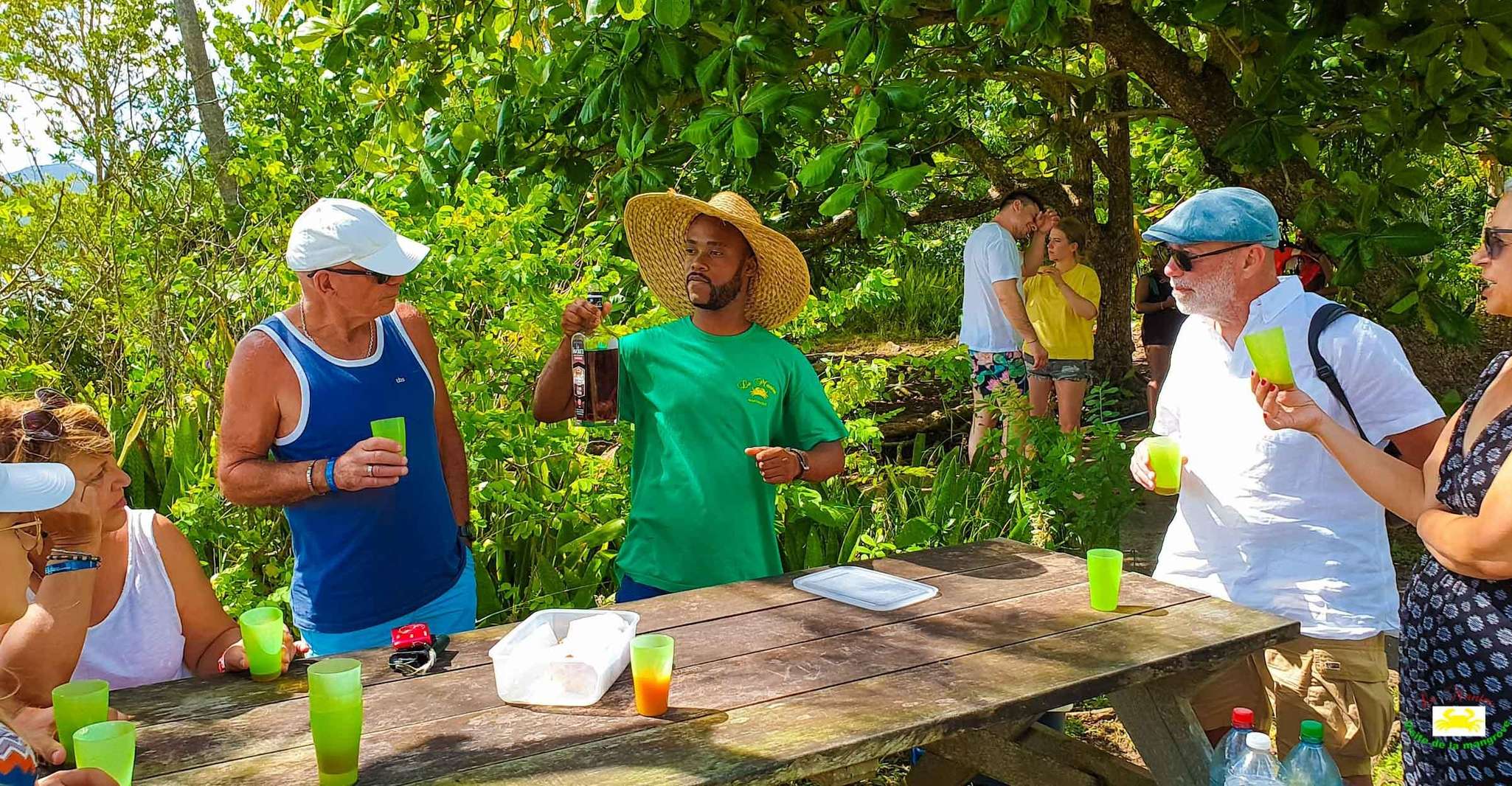 Martinique, Mangrove Boat Tour from Les Trois-Îlets - Housity