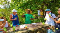 Martinique, Mangrove Boat Tour от Trois-ylets - Housity