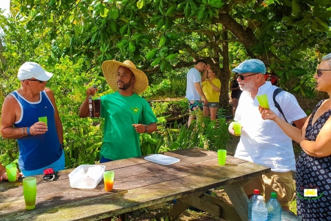 Martinique: Mangrove rondvaart vanuit Les Trois-Îletskampioenschap spécial