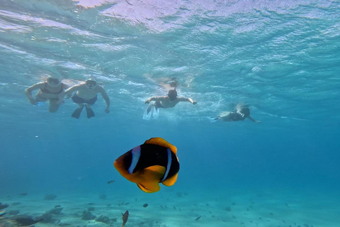 Hurghada: Viagem de mergulho com snorkel em lancha rápida com traslado do hotelHurghada: Lancha privativa para mergulho com snorkel e traslado do hotel