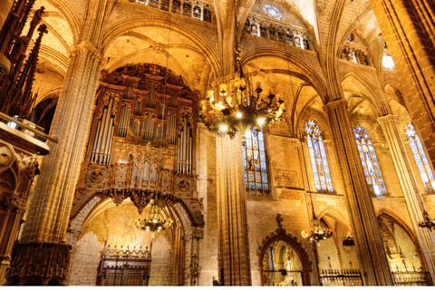 Barcelona Cathedral: Ticket, Guided Tour and VR Experience Barcelona Cathedral: Guided Tour In English