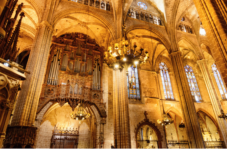 Barcelona Cathedral: Ticket, Guided Tour and VR Experience Barcelona Cathedral: Guided Tour In English