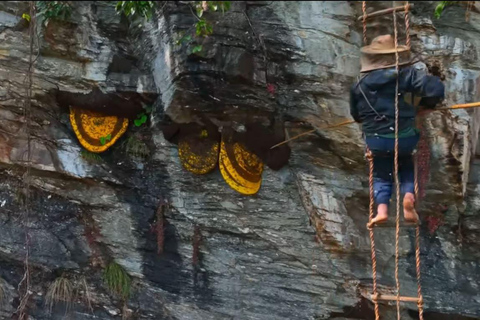 Kathmandu: Authentic Himalayan Rare Harvested Honey Tasting