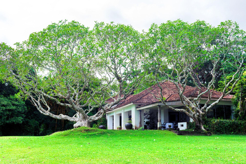Colombo: South Coast Creative Heritage Journey (Bawa Trail)