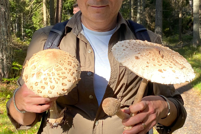 Stockholm: Mushroom and Berries Foraging Tour with Lunch