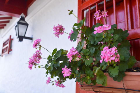 From Medellin: Coffee and Comuna 13 Tour with PRIVATE transportation From Medellin: Coffee Tour and Comuna 13 with PRIVATE transportation