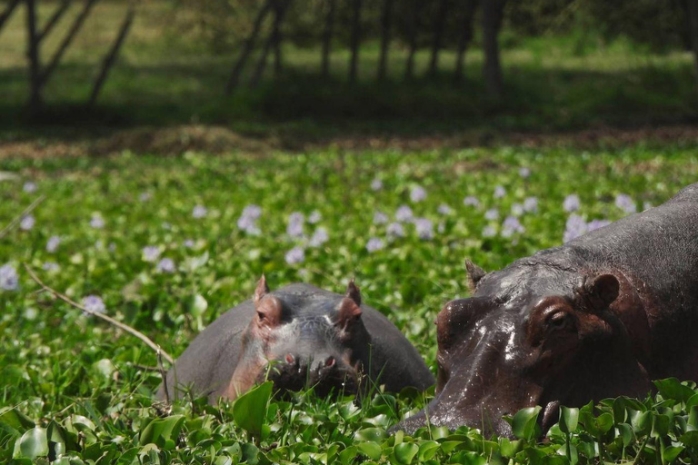 Nairobi: Crescent Island Sanctuary Day Trip with Lunch Nairobi: Crescent Island Sanctuary private day Trip