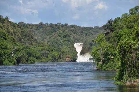 Entebbe: Safari de 3 días por el Parque Nacional de las cataratas Murchison