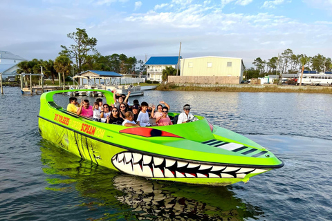 Panama City: Sunset Tour with Dolphin Watching Panama City: Sunset Speedboat Tour with Dolphin Watching