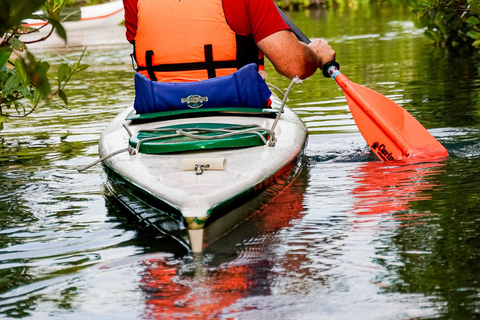 Sea Kayak Tour - Mangrove Safari