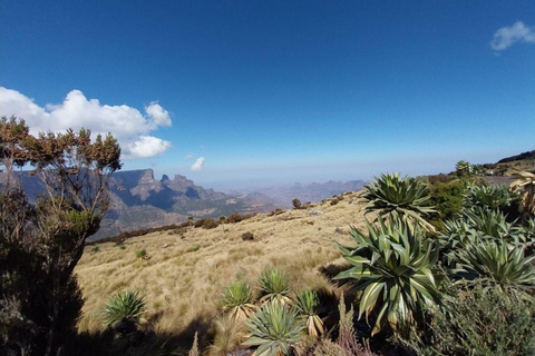 From Gondar: Simien Mountains 8-Day Trekking Adventure