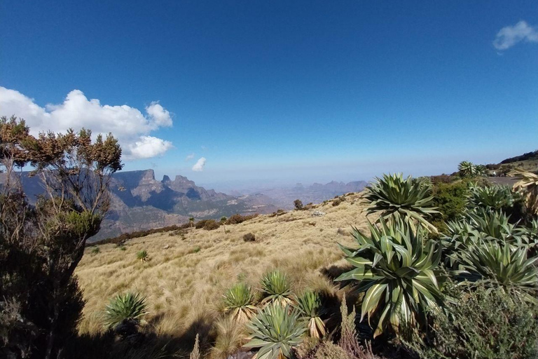 From Gondar: Simien Mountains 8-Day Trekking Adventure