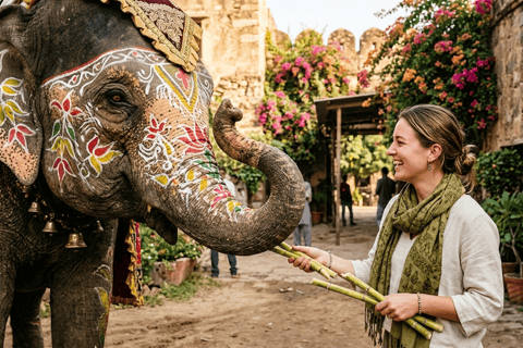 Jaipur Elephant Magic: Paint, Feed & Ride Tour with Pickup All Elephant Activity Riding, Feeding, Painting, Climbing