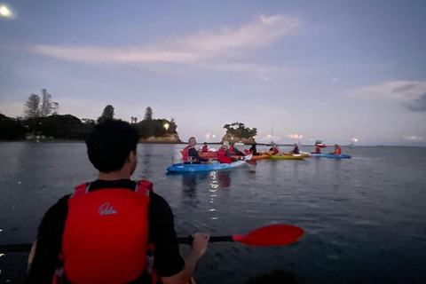 Auckland: Bioluminescence Kayak Tour with Guide