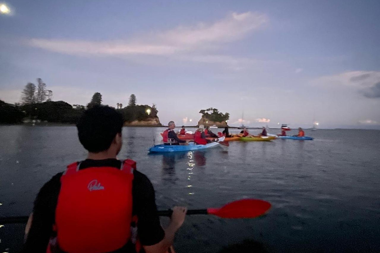 Auckland: Bioluminescence Kayak Tour with Guide