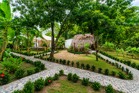 Cartagena – Tayrona Park: 2 days + Glamping + 7 beaches + Transportation