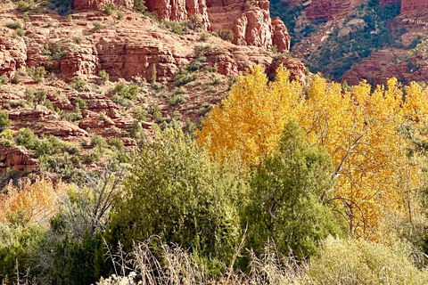 Sedona: Excursão de um dia a partir de Las Vegas