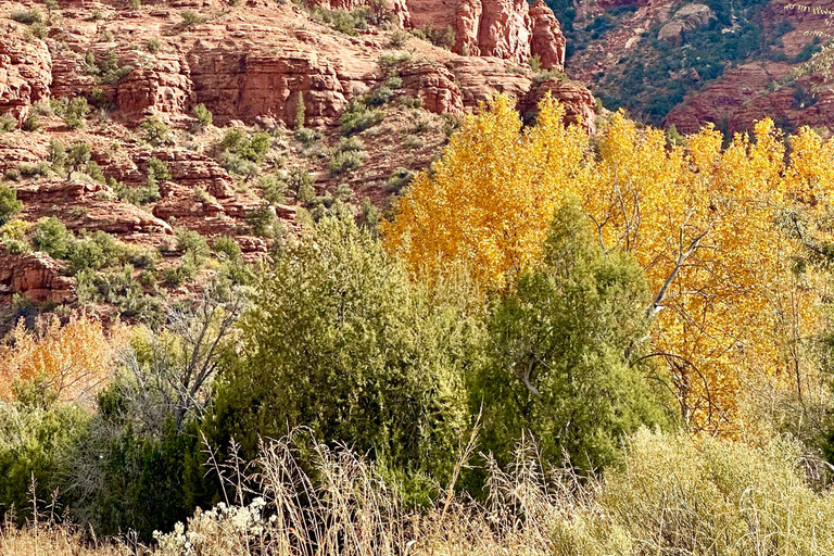 Sedona: Ein-Tages-Tour von Las Vegas aus