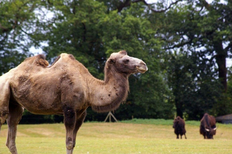 Cyprus: Private Day Trip to South Coast with a local