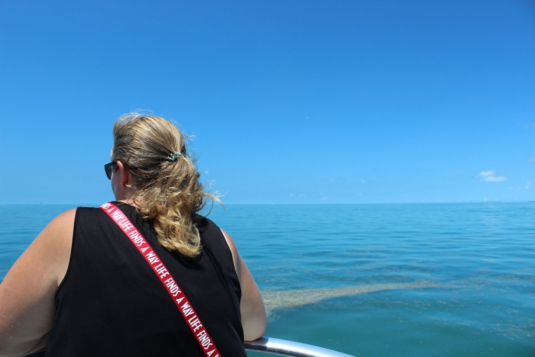 Shuttle van Miami naar Key West: dolfijnen, snorkelen en meerAlleen pendeldienst van Miami naar Key West