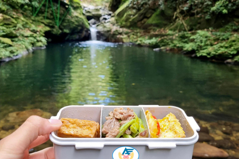 Von Hue aus: Bach Ma National Park Tour mit Picknick Mittagessen
