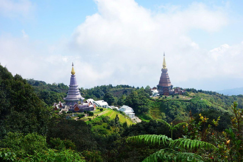 Chiang Mai: Doi Inthanon Park, Watervallen en Hilltribe Tour