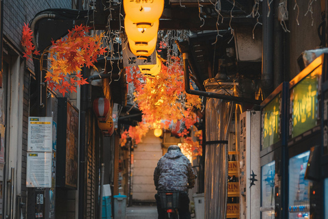 Tokio: Jednodniowa czarterowa wycieczka prywatna z angielskim kierowcą