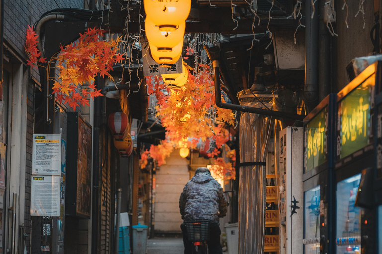 Tokyo: Tour privato di un giorno con autista in inglese