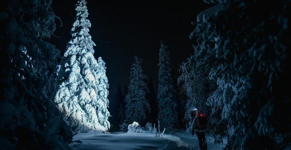 Rovaniemi: Riisitunturi National Park Night Photography Tour