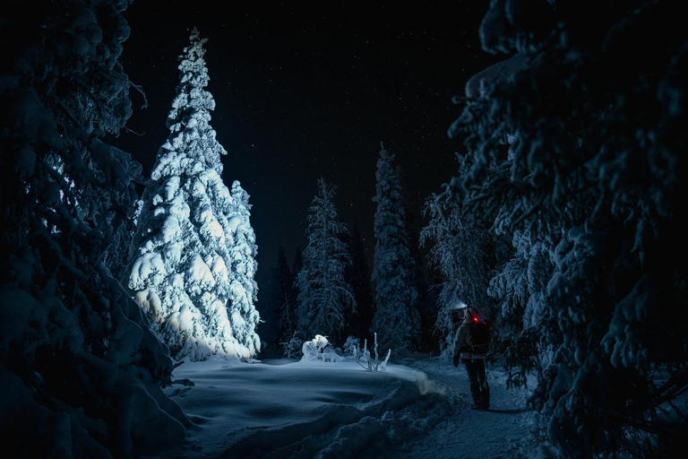 Rovaniemi: Nachtfotografie-Tour im Riisitunturi-Nationalpark