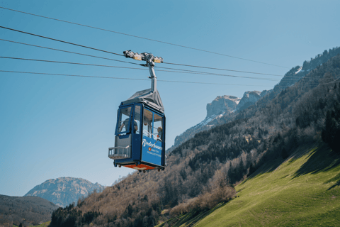 Lucerne: Tandem Paragliding – All-in-One – Lake Lucerne or Engelberg