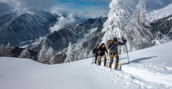 From Ljubljana/Bled: Julian Alps Snowshoe Tour for Beginners
