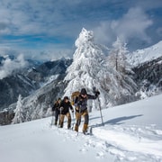 Depuis Ljubljana/Bled : raquettes à neige pour débutants dans les Alpes juliennes