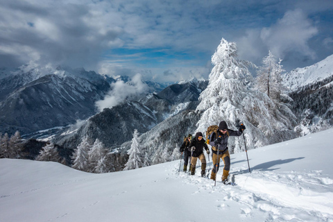 From Ljubljana/Bled: Beginner Snowshoe in Julian Alps From Ljubljana - pickup at your accommodation