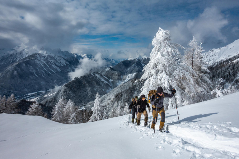 From Ljubljana/Bled: Beginner Snowshoe in Julian Alps From Bled - pickup at your accommodation