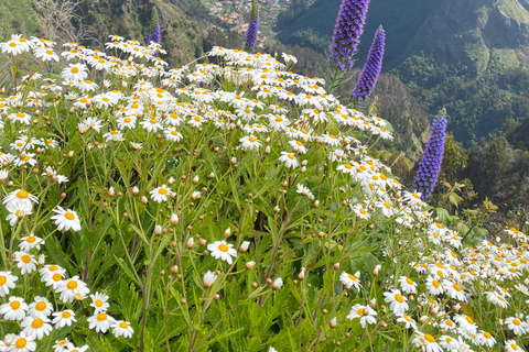 Madeira: Exotic Birds & Valleys 4x4 Safari with Local Guide Shared Exotic Birds & Valleys 4x4 Expedition Local Guide