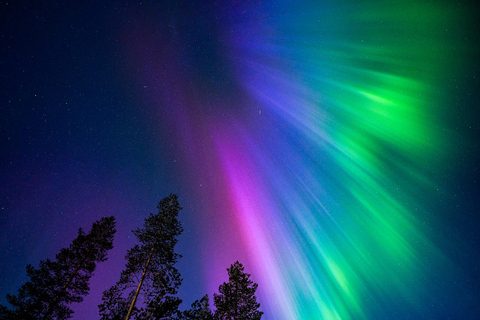 Tromsø: Excursión guiada a la Aurora Boreal con avistamientos garantizados