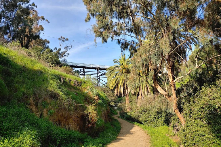 San Diego: Balboa Park & Bankers Hill Walking Tour Spanish language