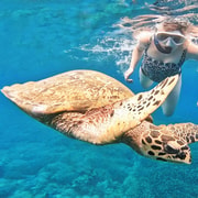 Lombok: Private 5 Secret Gilis Snorkeling Tour