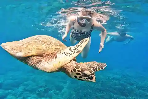 Exclusive Snorkeling Experience to Gili Gede and 4 Gilis