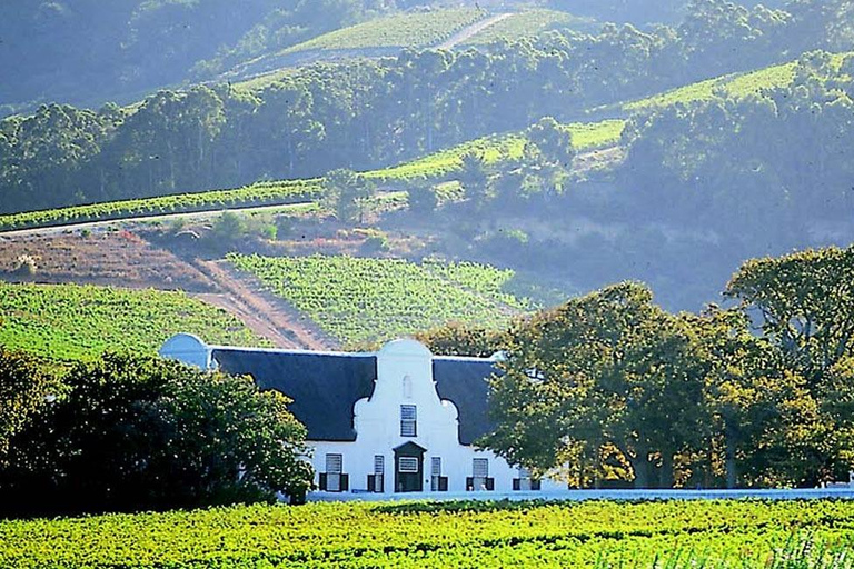 Visite privée des vignobles de Stellenbosch, Paarl et Franschhoek