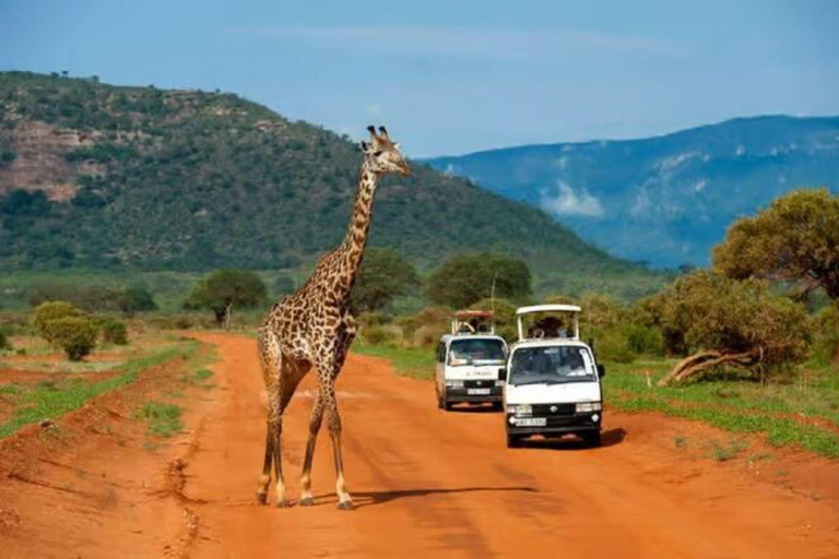 2 days 1 night saltlick safari from Diani/Mombasa.