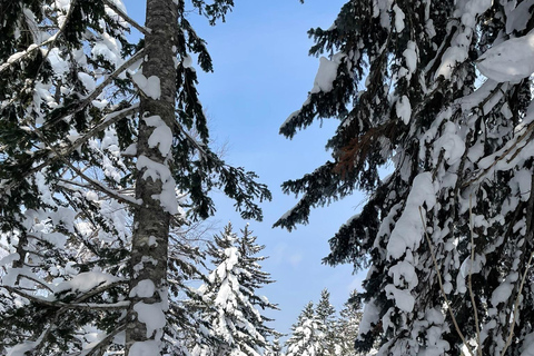 Shikotsu-Toya National Park: Guided Snowshoe Hike and Onsen Shikotsu-Toya National Park: Guided Snowshoe Hike and Onsen.