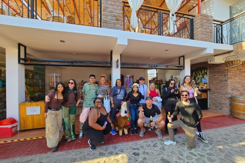 Paracas Eilanden & Huacachina Oase in Ica-Avontuur&WildlifeParacas-Ica-dagtour: dieren in het wild en avontuur