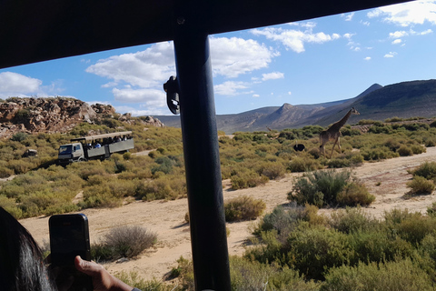 Cape Town Aquilla big sunset safari With transport & food aquila sunset bestseller