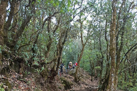 Day Hike in Kathmandu