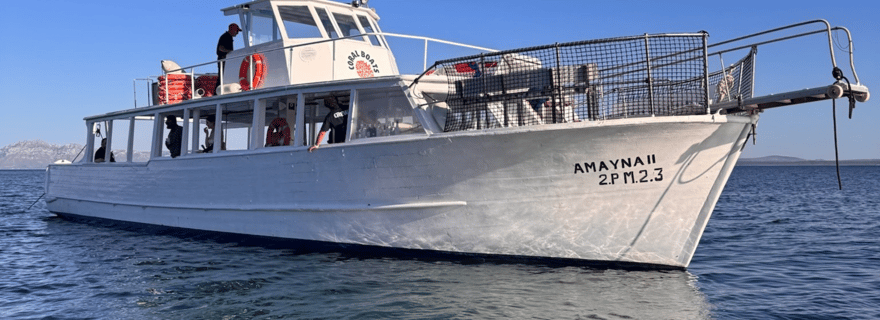 Alcudia: Sunset Cruise with Wine and Cheese Tasting